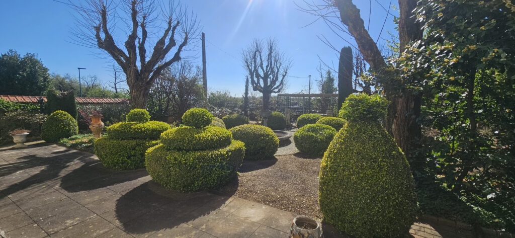 Jardin classique baigné de soleil, topiaires de buis sculptés sur gravier, grands arbres élagués et terrasse en pierre ombragée sous un ciel bleu intense.